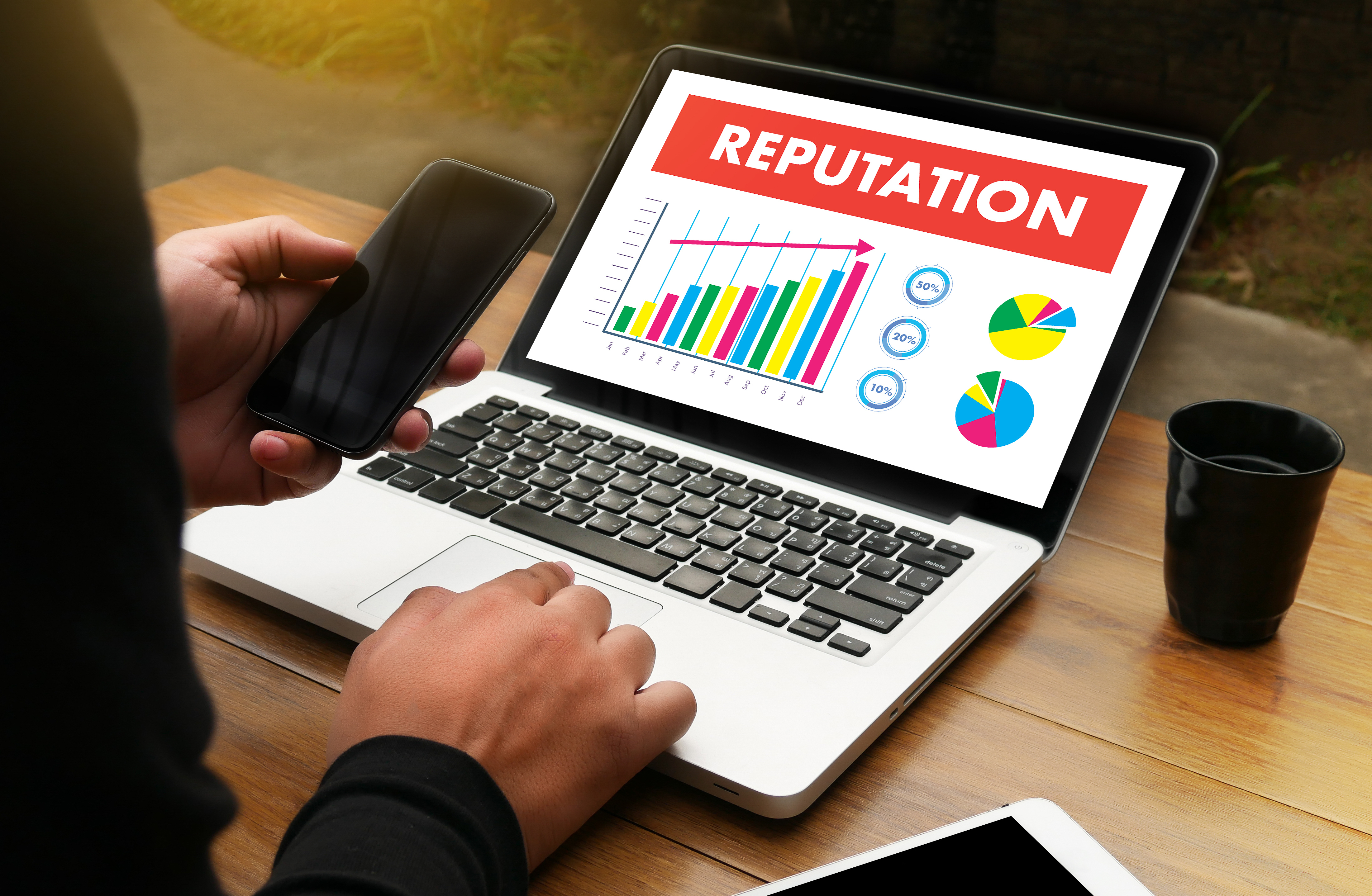 picture of a laptop displaying a line graph titled 'reputation'